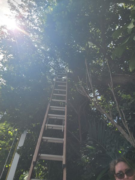 20260824_120230.jpg