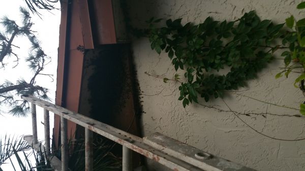 20170928_184805.jpg