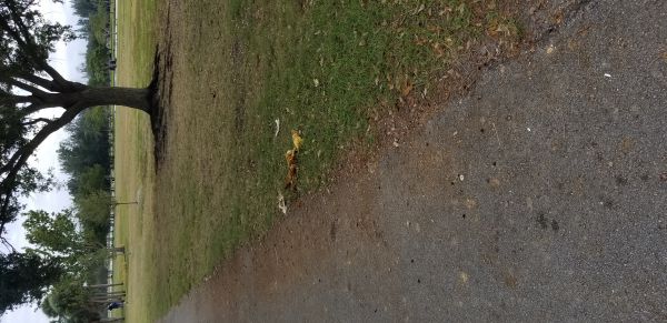 20181127_123030.jpg