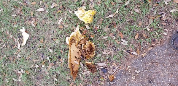20181127_123035.jpg