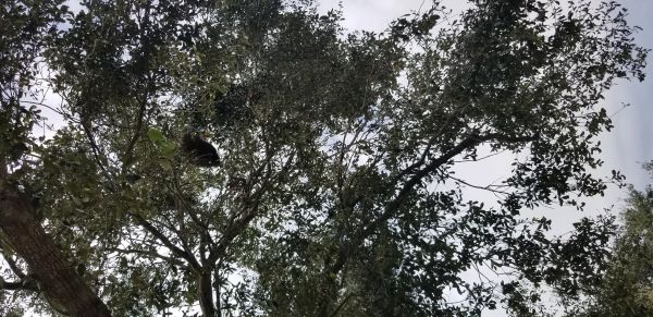 20181127_123044.jpg