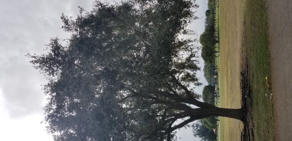 20181127_123141.jpg