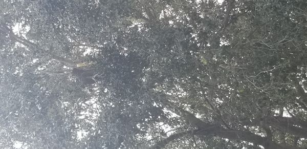 20181127_123148.jpg