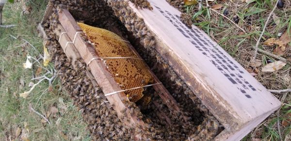 20181127_143435.jpg