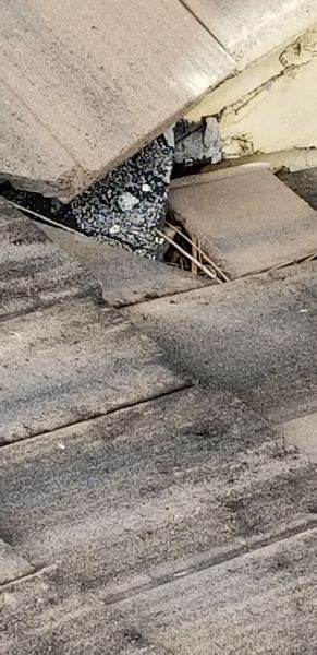 20190128_135538.jpg