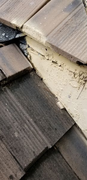 20190128_140013.jpg