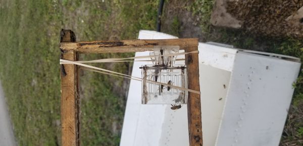 20190208_140134.jpg