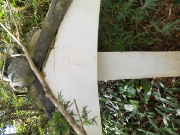 20190222_120357.jpg