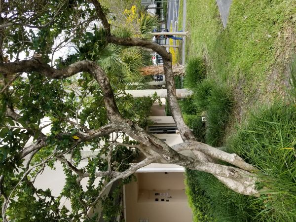 20190314_164810.jpg
