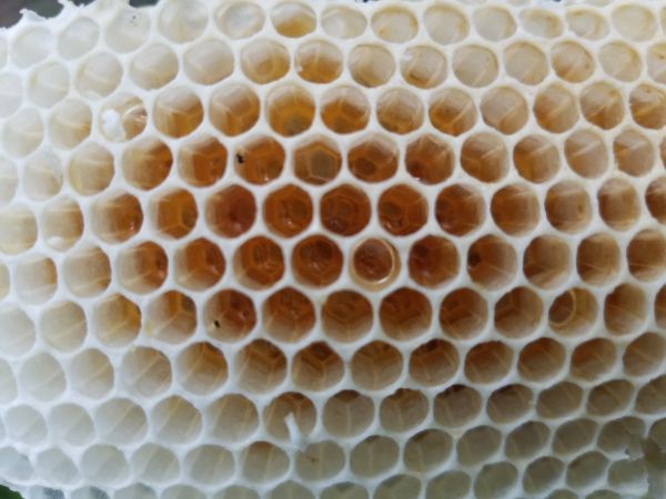 20190327_182953.jpg