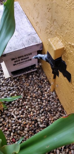 20190329_162110.jpg