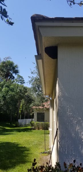 20190528_152050.jpg