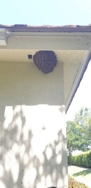 20190528_152104.jpg