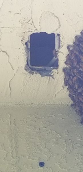 20190528_152116.jpg
