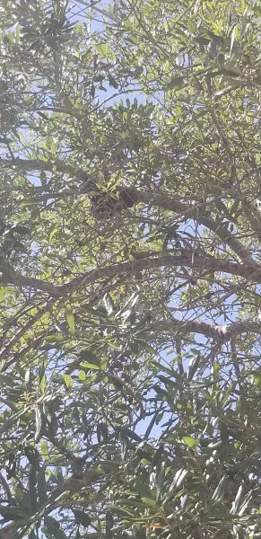 20190528_162001.jpg