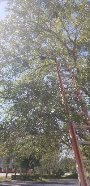 20190528_163643.jpg