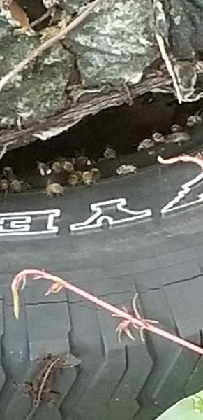 20190619_075040.jpg
