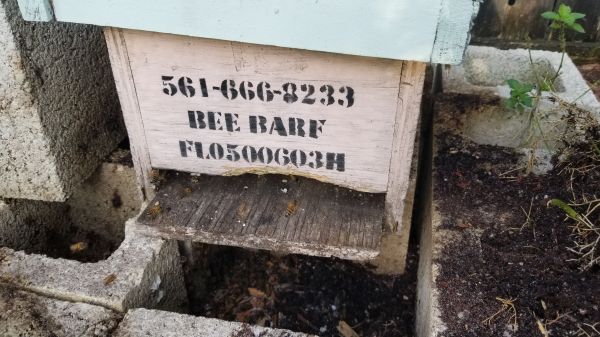 20190620_184429.jpg