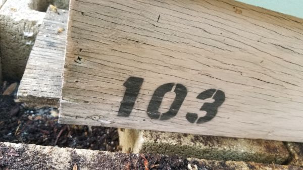 20190620_184431.jpg