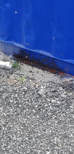 20190711_124349.jpg