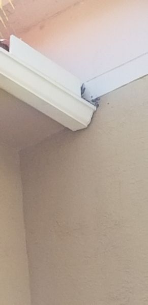20190711_140103.jpg