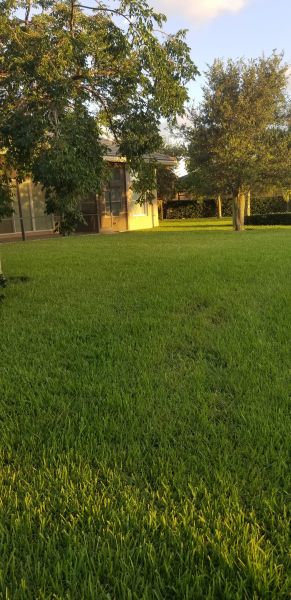 20190715_195101.jpg