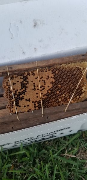 20190715_200237.jpg