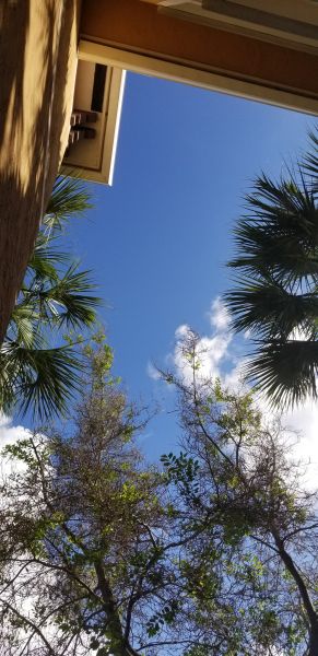 20190716_085225.jpg