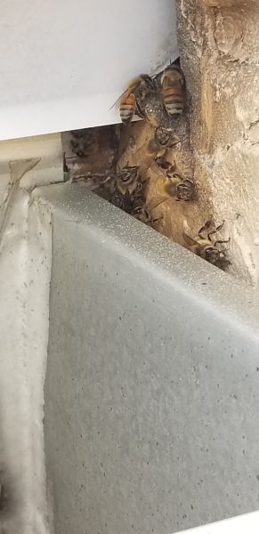 20190716_095308.jpg
