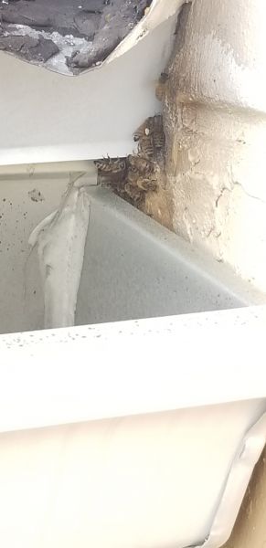 20190716_095316.jpg
