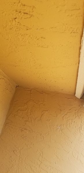20190716_095523.jpg