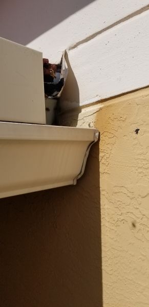 20190716_095526.jpg