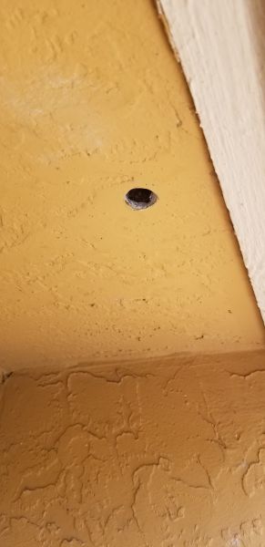 20190716_110126.jpg