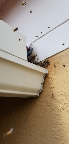 20190716_110534.jpg