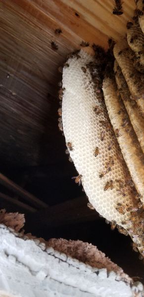 20190716_125305.jpg