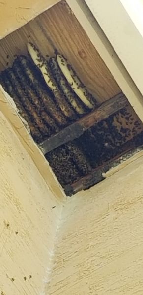 20190716_132452.jpg