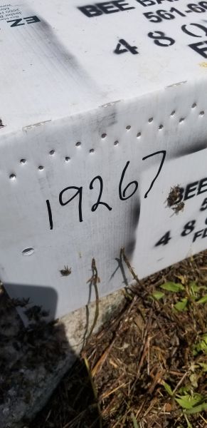 20190717_113252.jpg