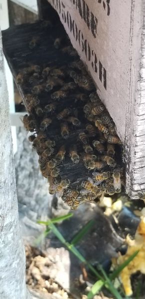 20190717_163519.jpg