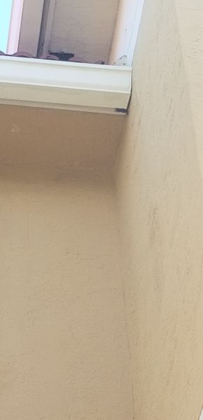 20190717_173506.jpg