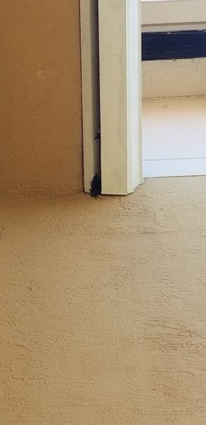 20190717_173532.jpg