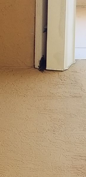 20190717_173536.jpg