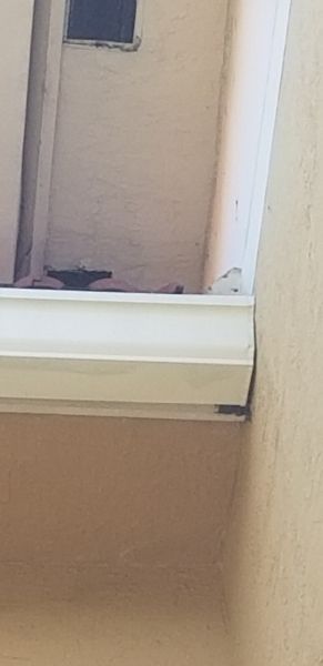 20190717_173729.jpg