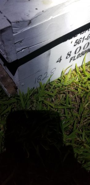 20190717_210313.jpg