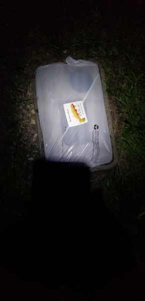 20190717_210411.jpg