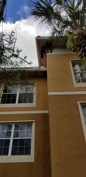 20190722_170514.jpg