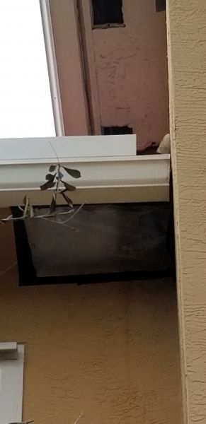 20190722_170518.jpg