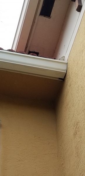 20190722_170620.jpg