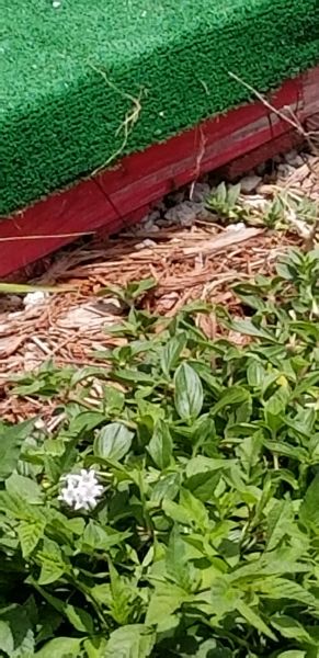 20190723_131316.jpg