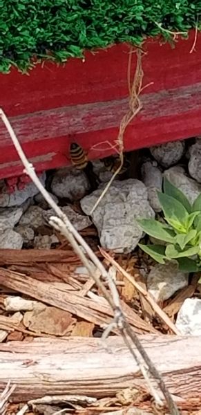 20190723_131324.jpg