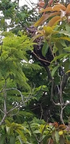 20190723_140056.jpg